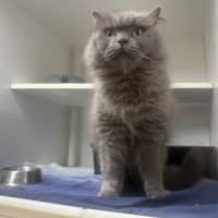 Photo of Dolly