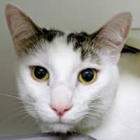 Photo of 🎪 George 6613 🎪