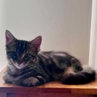 Photo of Echo