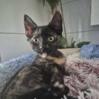Photo of Sally