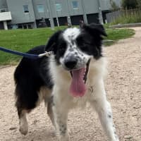 Photo of Lucy
