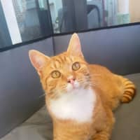 Photo of Lily & Charlie