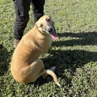 Photo of Zena