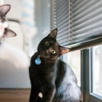 Photo of Percy