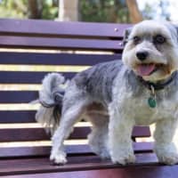 Photo of Lulu Lozano