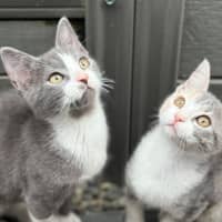 Photo of Georgia 🍒