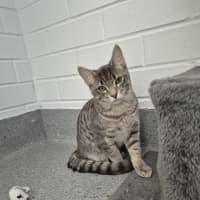 Photo of Autumn! 🍁