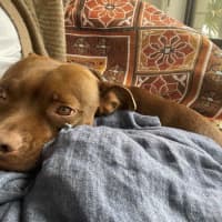 Photo of Randall Bulleau