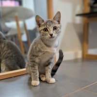 Photo of Beanz