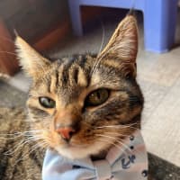 Photo of Coda