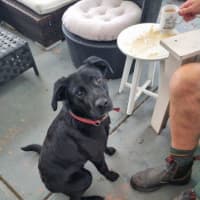 Photo of Rosie Lozano