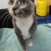 Photo of Fable