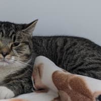 Photo of Moomoo