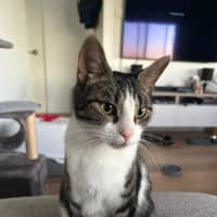 Photo of Blair Waldorf