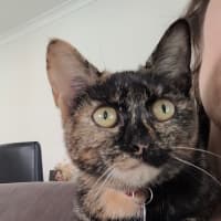 Photo of Lucy