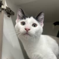 Photo of Wednesday