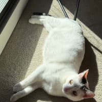 Photo of Agatha