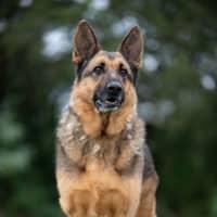 Photo of Ghost