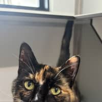 Photo of Mabel