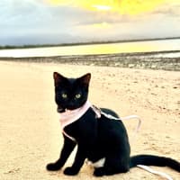 Photo of Twiglet