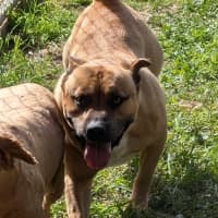 Photo of Jimmy Neutron