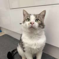 Photo of Mr Worldwide