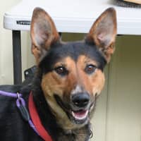 Photo of Circe 