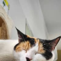 Photo of 🎡 Angelica 5623 🎡