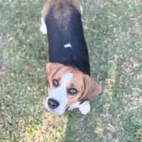 Photo of Kiki