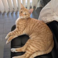 Photo of Griffin