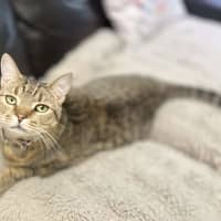 Photo of Snickers