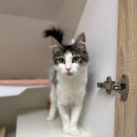 Photo of 🕶️ Ruth 6779 🕶️