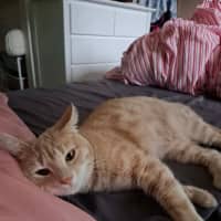 Photo of Chili 🌶️