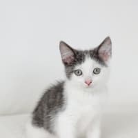 Photo of Lenny