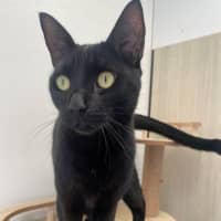 Photo of C1403 Mario