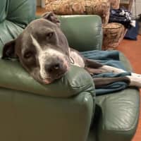 Photo of Storm
