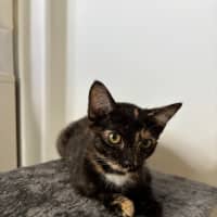 Photo of Maya
