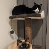 Photo of Polly