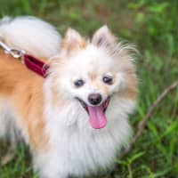 Photo of Bellatrix