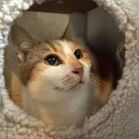 Photo of Shara