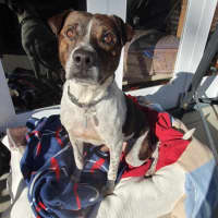 Photo of Pat In The Hat