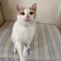 Photo of Rudolf 