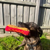 Photo of Benny
