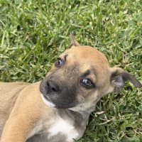 Photo of Hazel