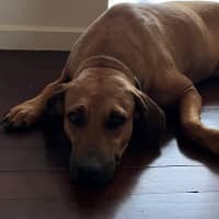 Photo of Princess