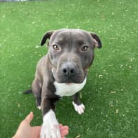 Photo of Axel Imp 1660