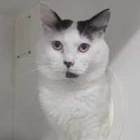 Photo of Bugboy