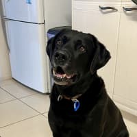 Photo of Mason