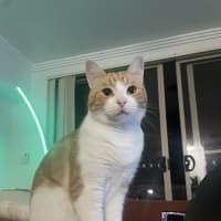 Photo of Fred