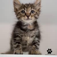 Photo of Greta And Gizmo